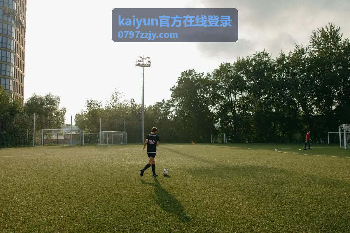 kaiyun官方在线登录账号登录流程界面示意