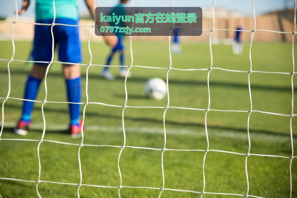 在线登录异常提醒与记录查询