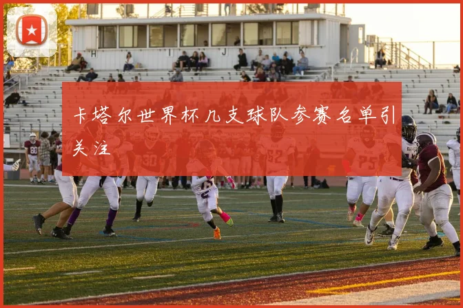 卡塔尔世界杯几支球队参赛名单引关注