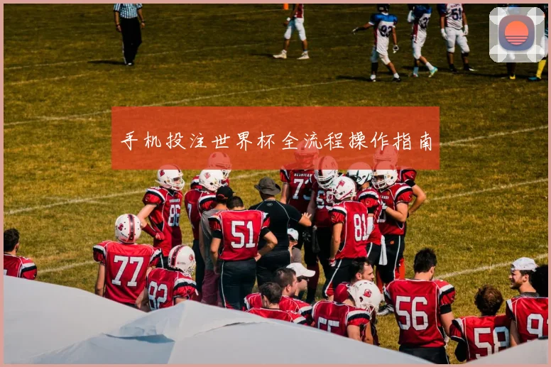 手机投注世界杯全流程操作指南